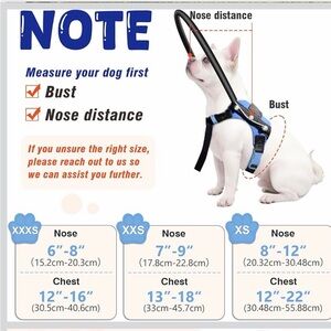 Halo Blue Dog Harness